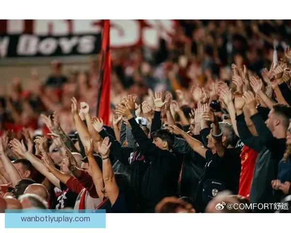 2026世界杯加拿大赛场精彩对决与全球球迷狂欢盛况揭秘